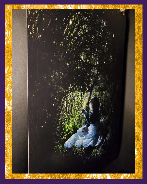 Lucioles – Image 2